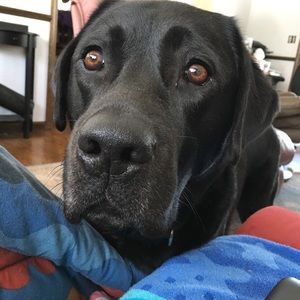 Meet your Posher, Matt